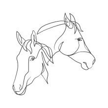 "Continuous Line Horse Head Sketch: Capturing Character and Movement in a Simple Stroke"