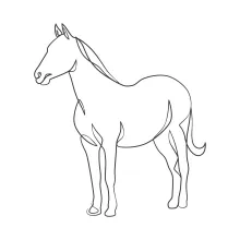 "One Line Horse Sketch: Capturing Motion and Strength with Minimalist Art"