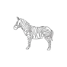 "Minimalist Zebra-Horse Drawing: Expressing a Unique and Powerful Creature in One Stroke"