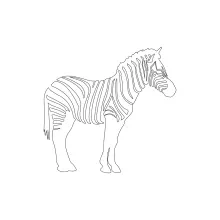 "One Line Zebra Sketch: Expressing Contrast and Motion with Minimalist Techniques"