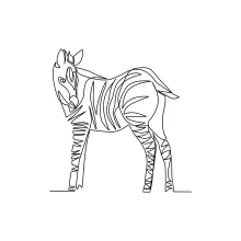 "Minimalist Zebra Illustration: Depicting Motion and Elegance in One Artistic Stroke"