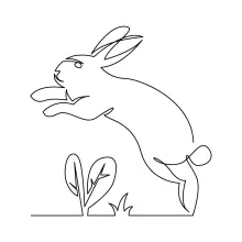 One Line Hare Drawing: Fun and Fast Animal Practice for Beginners