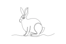 Draw a Hare in One Line: Quick and Simple Animal Art for All Ages