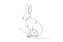 Sitting Hare in One Line: Learn to Draw Calm Animal Poses Easily