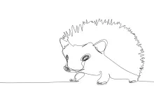 One Line Hedgehog Drawing: Fun Nature Animal Art for Kids and Adults