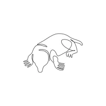 "Continuous Line Mole Illustration: Capturing a Digging Mammal in a Simple Stroke"