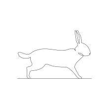 One Line Bunny Drawing: A Cute and Simple Animal for Easy Practice