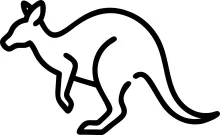 "Minimalist Kangaroo Sketch: Illustrating a Dynamic Jumper with Simple Artistic Strokes"
