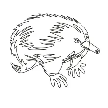 "Minimalist Echidna Drawing: A One Line Study of Unique and Recognizable Wildlife Forms"