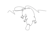 Platypus One Line Drawing: Sketch a Unique Animal with Simple Shapes