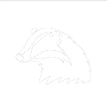 One Line Badger Drawing: Learn to Sketch Forest Animals with Simple Lines