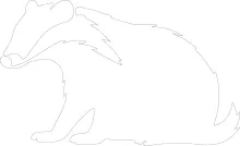 "Minimalist Badger Drawing: Capturing a Forest Dweller’s Strong Stance with One Stroke"