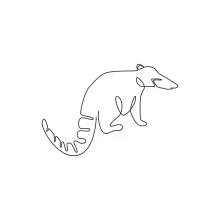 "One Line Coati Sketch: A Minimalist Approach to Curious and Agile Wildlife Creatures"