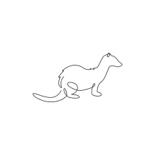 Ferret in One Line: Simple Drawing to Explore Animal Length and Movement
