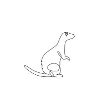 One Line Ferret Drawing: Learn to Draw Long, Flexible Animal Bodies