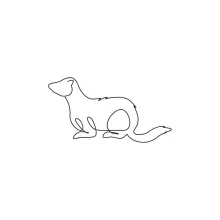 Easy Ferret Drawing with One Line: Great Practice for Animal Proportions