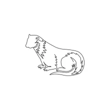Otter One Line Drawing: Build Drawing Skills with a Playful Water Animal