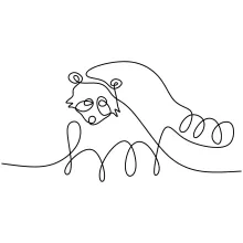 Raccoon in One Line: Easy Animal Drawing for Fun Learning and Practice
