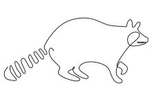 "Minimalist Raccoon Drawing: One Line Art to Illustrate a Clever and Curious Animal"