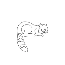 Red Panda in One Line: Simple Animal Drawing for Calm Practice and Focus