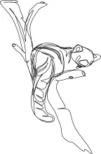"Minimalist Red Panda Drawing: Capturing a Playful and Fluffy Animal in One Stroke"