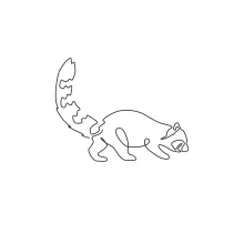 Red Panda One Line Drawing: Learn to Draw with Gentle Curves and Clear Shapes