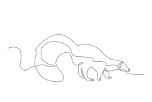 "One-Line Skunk Drawing: A Minimalist Approach to Recognizable Animal Shapes"