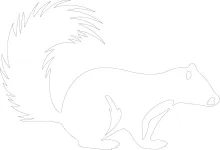 "One Line Skunk Drawing: Illustrating a Recognizable Animal with Simple Artistic Strokes"