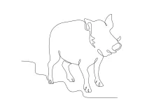Wild Boar Walking in One Line: Learn Animal Shape and Motion Easily