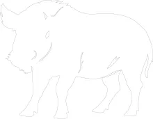 One Line Warthog Drawing: Explore African Wildlife Through Easy Art