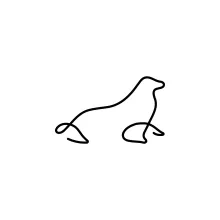 Monk Seal One Line Drawing for Exploring Marine Animal Shapes