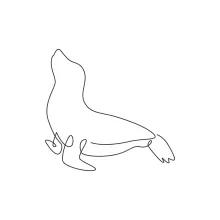 Beginner Sea Lion Drawing in One Line for Marine Animal Study