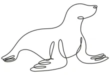 One Line Seal Drawing for Practicing Marine Animal Forms