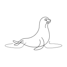 Simple One Line Seal Drawing for Practicing Animal Outlines