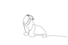 Seal Wildlife Drawing in One Line for Exploring Ocean Nature Art