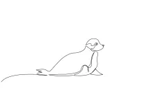 Easy Seal Wildlife Drawing with One Line for Kids and Beginners
