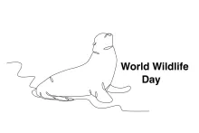 "One Line Seal Drawing: A Minimalist Approach to Playful Marine Wildlife"