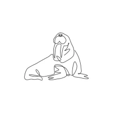 "Minimalist Large Walrus Art: A One Line Study of Strong and Iconic Marine Creatures"
