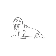 "Minimalist Big Walrus Illustration: A One Line Study of Marine Wildlife Power"