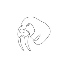 "One Line Big Walrus Head Sketch: A Minimalist Approach to Iconic Marine Features"