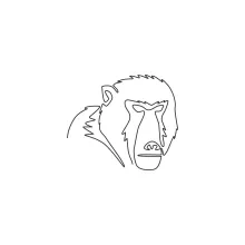 "One-Line Baboon Head Drawing: A Minimalist Approach to Expressive Primate Features"