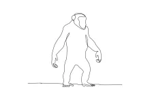 "Minimalist Chimpanzee Sketch: A One-Line Study of Expressive and Intelligent Wildlife Figures"