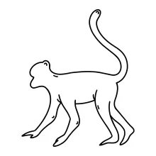 Easy One Line Macaque Drawing for Beginners to Explore Primate Shapes