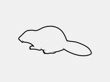 "One Line Beaver Drawing: Capturing a Skilled Builder with Minimalist Art"