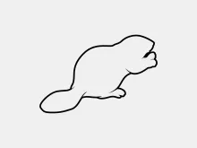 Simple One Line Beaver Drawing: Fun and Easy for Young Artists