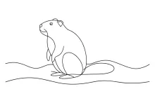 One Line Drawing of Beaver and Dam: Learn Animal Habits Through Simple Art