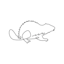 One Line Funny Beaver: Simple Drawing for Animal Art Fun