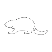 Beaver Drawing: Easy One Line Sketch for Nature Learning