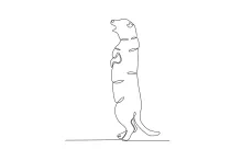 "Continuous Line Groundhog Drawing: Capturing a Wildlife Icon with a Single Stroke"