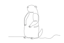 "Minimalist Groundhog Portrait: Capturing a Woodland Creature’s Shape with One Line"